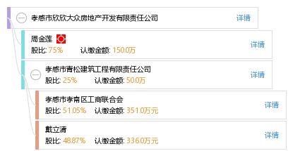孝感市欣欣大眾房地產開發有限責任公司 工商信息、信用狀況與行業動態全方位解析